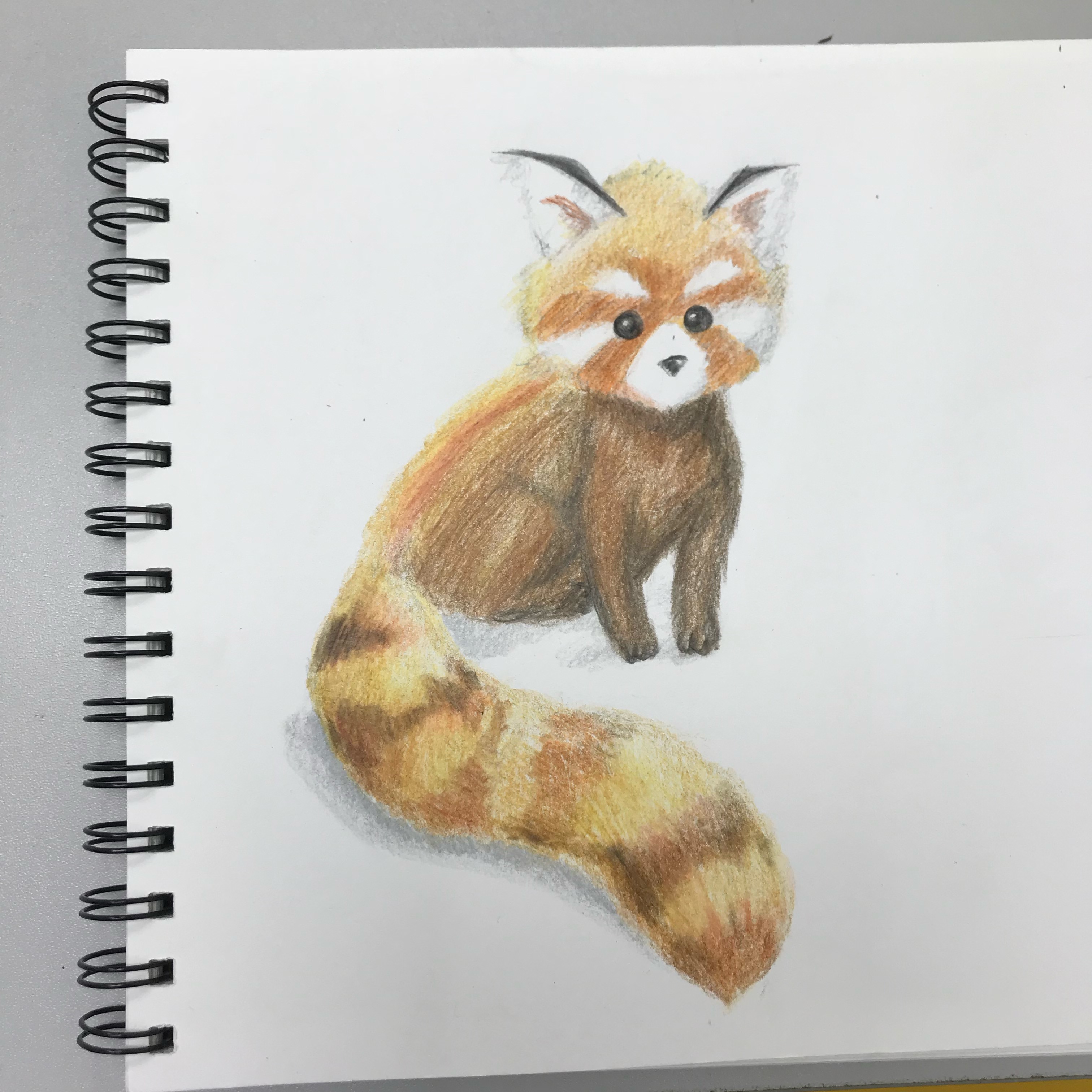動物繪畫作品